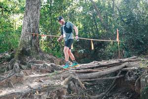 BIB: 
                            <button type="button" onclick="openModal(27747684)" class="btn btn-primary btn-sm float-right btn-popup" data-toggle="modal" data-target=".modal-high-quality">
                        <i class="fas fa-shopping-cart"></i> Add to Cart
                    </button>
                                            <button type="button" onclick="isThisMe(27747684, true)" class="btn btn-success btn-sm float-right btn-popup btn-isme hidden" data-toggle="tooltip" data-placement="bottom" title="นี่คือรูปของคุณใช่ไหม คลิกที่นี่เพื่อเอาเข้าอัลบั้ม">
                        <i class="fas fa-plus"></i> Add to album
                    </button>
                    <button type="button" onclick="isThisMe(27747684, false)" class="btn btn-warning btn-sm float-right btn-popup btn-isnotme hidden">
                        <i class="fas fa-ban"></i> Remove from album
                    </button>